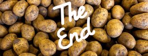 Pommes de Terre : Clap de fin sous surveillance des limaces